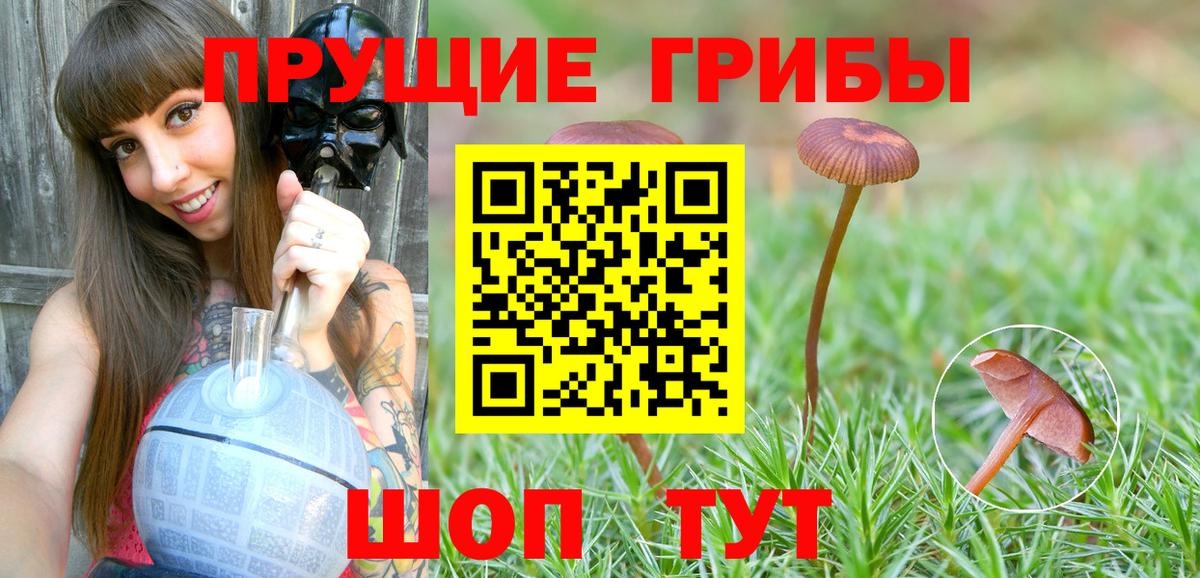 Галлюциногенные грибы ЛСД  Псилоцибиновые грибы ЛСД  хочу   Владивосток  Вход с VPN 